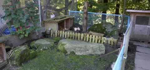 Naturnahes Kleintiergehege mit Steinen und Unterständen