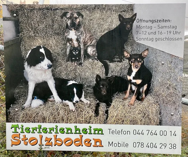 Hofschild des Tierferienheims Stolzboden mit Öffnungszeiten und Telefonnummer